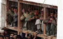 Thổ Nhĩ Kỳ sẽ thả 38.000 tù nhân để dọn chỗ cho nghi phạm đảo chính