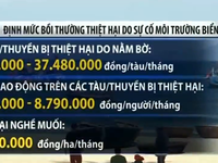 Ban hành định mức bồi thường do sự cố môi trường biển ở miền Trung