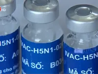 Thử nghiệm giai đoạn 2 vaccine cúm A/H5N1 tại Khánh Hòa