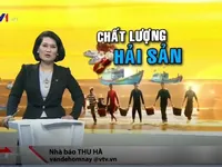 Công bố chất lượng hải sản Miền Trung hậu Formosa: Còn nhiều băn khăn