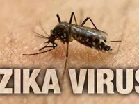 Hà Nội tăng cường phòng chống Zika tại bệnh viện