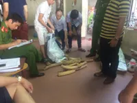 Hà Nội police seize large amount of elephant tusks