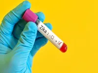 TP.HCM phát hiện gần 100 trường hợp nhiễm virus Zika