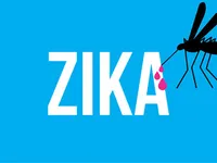 Mỹ cảnh báo virus Zika lan rộng vùng ven biển