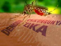 Tăng cường giám sát dịch bệnh do virus Zika tại TP.HCM