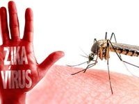 Thêm 2 ca nhiễm virus Zika tại TP.HCM