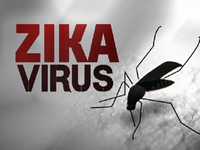 Giám sát phụ nữ mang thai phòng ngừa Zika