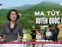 'Tội phạm ma túy xuyên biên giới đang ở mức đặc biệt nguy hiểm'