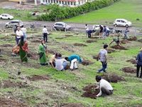 'Choáng' với màn trồng 66 triệu cây xanh trong nửa ngày ở Ấn Độ