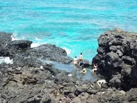 Ly Son Island to restore Vietnam’s biggest whale skeleton