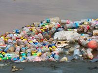 Năm 2050, rác thải nhựa ở đại dương nhiều hơn cá