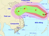 Bão số 11 sẽ còn mạnh lên, hướng vào Bắc Trung Bộ