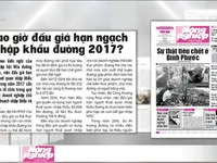 Bao giờ đấu giá hạn ngạch nhập khẩu đường 2017?