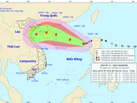 Quảng Ninh thực hiện các biện pháp phòng, chống bão số 11