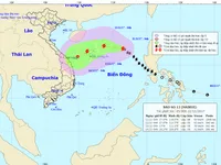 Bão số 13 di chuyển chậm theo hướng Tây Tây Bắc