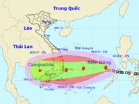 Bão số 12 giật cấp 14 dự kiến đổ bộ vào Nam Trung Bộ