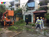 Bão số 12 càn quét Khánh Hòa, nhiều nhà dân bị đổ sập, hư hỏng nặng