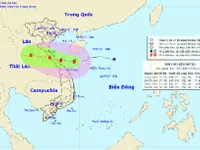 Nghệ An chủ động ứng phó với bão số 4