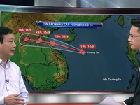 Bão số 10 vượt quá khả năng chịu đựng của đê biển