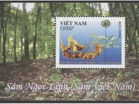 Phát hành bộ tem đặc biệt “Sâm Ngọc Linh (Sâm Việt Nam)” tại Quảng Nam