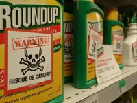 Nghị viện châu Âu bỏ phiếu cấm thuốc diệt cỏ Glyphosate