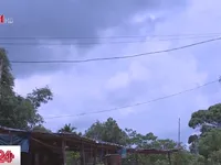 Hơn 160.000 hộ d&acirc;n v&ugrave;ng n&uacute;i, n&ocirc;ng th&ocirc;n, hải đảo được cấp điện mới