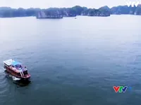 VTVTrip: Hải Phòng - Điểm đến bí ẩn còn nhiều điều khám phá