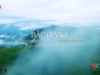 VTVTrip: Đến cao nguyên Đồng Cao hít căng tràn lồng ngực không khí mát mẻ