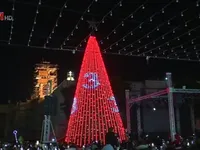 Chiêm ngưỡng cây thông Noel khổng lồ ở Bethlehem