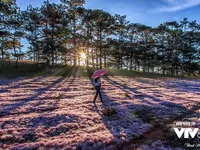 Đặc sắc m&ugrave;a đua ngựa kh&ocirc;ng y&ecirc;n trong lễ hội Cỏ hồng 2017