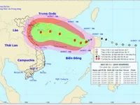 Chủ động ứng phó với diễn biến của cơn bão số 11