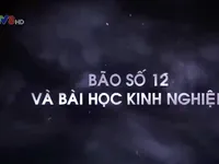 Bão số 12 và bài học kinh nghiệm