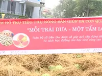 Hà Nội hỗ trợ tiêu thụ dưa hấu cho người dân Quảng Ngãi