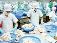 Thu hút FDI tháng 1 đạt trên 1,42 tỷ USD