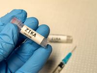 Mỹ: Thử nghiệm lâm sàng vaccine Zika giai đoạn 2 trên người