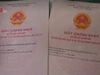 Triệt phá đường dây làm giả giấy tờ và con dấu tại Quảng Ngãi