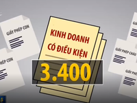 Giấy phép con: Cắt cái này, lại 'mọc' cái khác!