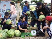 'Giải cứu' nông sản: Cần giải pháp căn cơ