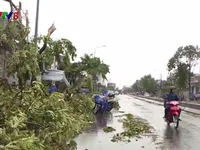 Bão số 10 làm gẫy đổ nhiều cột điện, tốc mái nhà cửa tại Thừa Thiên Huế