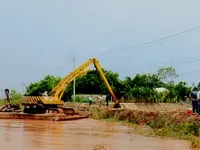 Đồng Tháp khẩn trương gia cố đê bao bị sụp lún