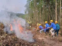 Quảng Bình: Nắng nóng kéo dài, nguy cơ cháy rừng cao