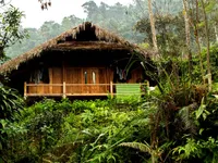 Cuộc sống ở bản làng Việt Nam qua góc nhìn của du khách “homestay”