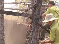 Đăk Lăk: Phá lò đốt than để bảo vệ rừng Ea Súp