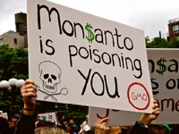 Hàng nghìn nông dân Mỹ kiện Monsanto vì thuốc diệt cỏ gây hại