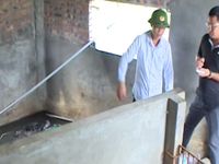 Hải Dương: 3 anh em ruột tử vong do ngạt khí biogas