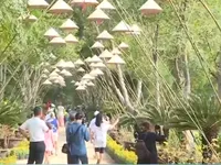Khánh Hòa: Du lịch sinh thái đầu năm hút khách