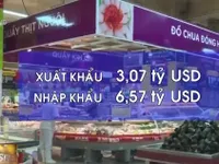 Nhập siêu từ Thái Lan vào Việt Nam tăng mạnh