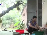 Đưa nước sạch về vùng nông thôn Hải Dương