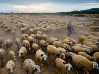 Một tuần thành công rực rỡ của nhiếp ảnh Việt trên National Geographic