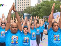 500 người tham gia Ngày hội Quốc tế Yoga lần thứ 3